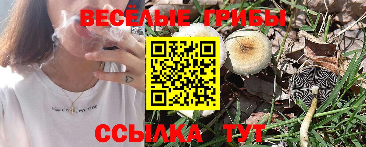 Псилоцибиновые грибы Magic Shrooms Егорьевск