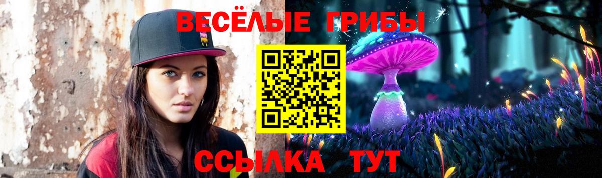 Галлюциногенные грибы мицелий  Вход с VPN  где купить наркоту  Егорьевск 